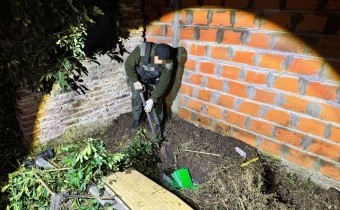 Hallan 59 kilos de cocaína enterrados en nuevos allanamientos por la avioneta de Villa Eloísa
