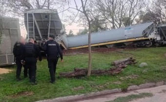 Una formación del Belgrano Cargas descarriló en la madrugada de este jueves en la ciudad de Santa Fe