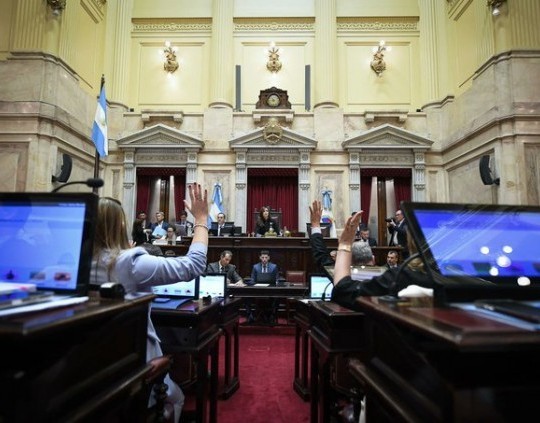 El Senado aprobó en general la reforma de la Ley de Salud Mental