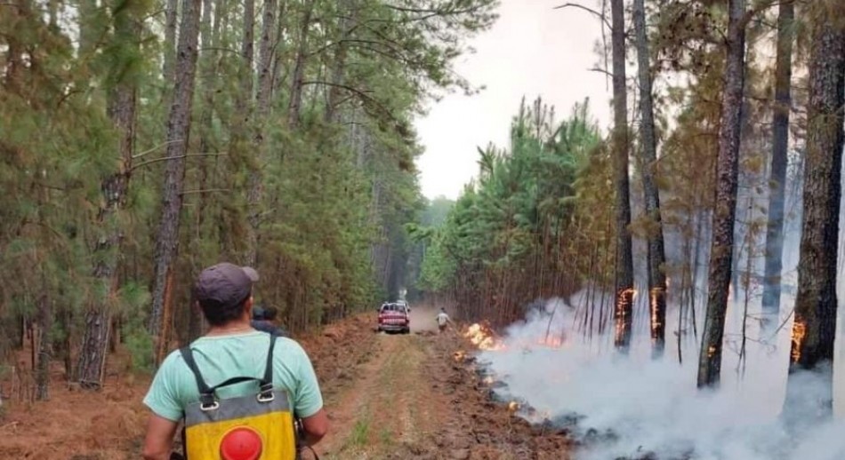 Corrientes: el fuego no se detiene y amenaza los Esteros del Iberá